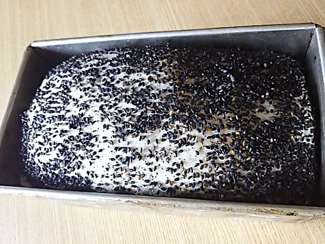 f0316507_15010749.jpg