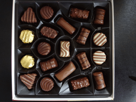b0017215_13163526.gif