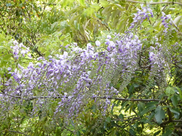 d0170615_21362218.jpg