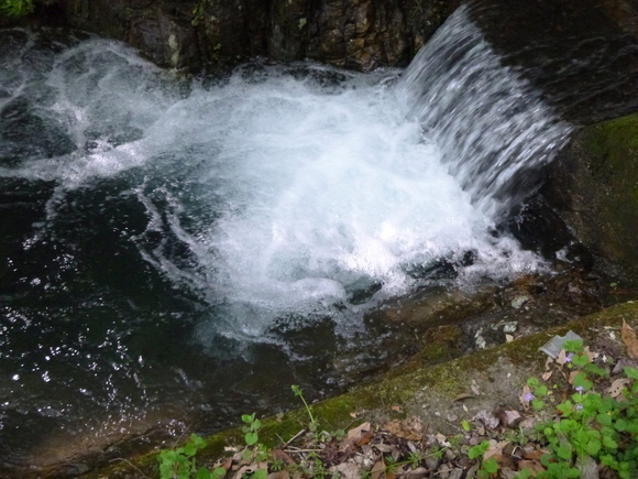 d0170615_21394872.jpg