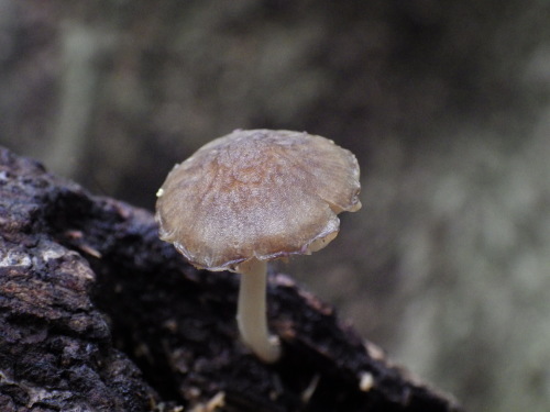 e0352220_21040028.jpg