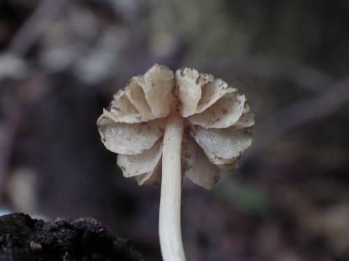 e0352220_21051823.jpg