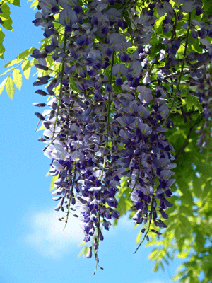 e0312121_0364994.gif