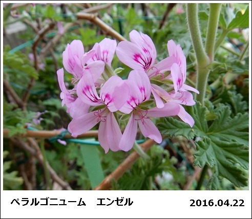 e0033229_18423134.jpg