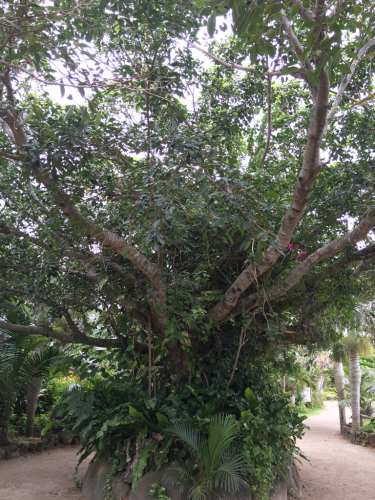 b0312230_12415554.jpg