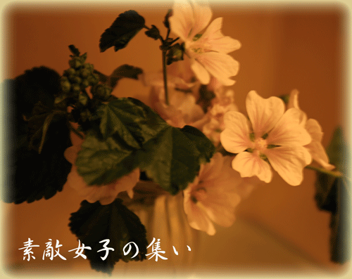 a0245136_17245177.gif