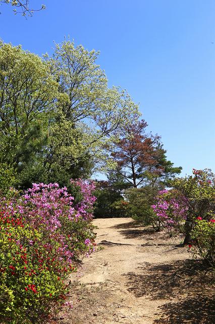 a0242438_20405397.jpg
