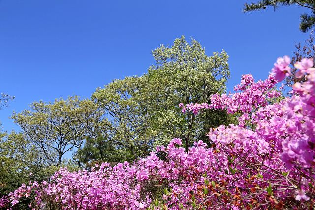 a0242438_20405839.jpg