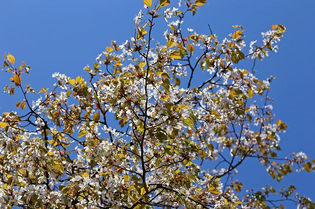 a0242438_20421864.jpg
