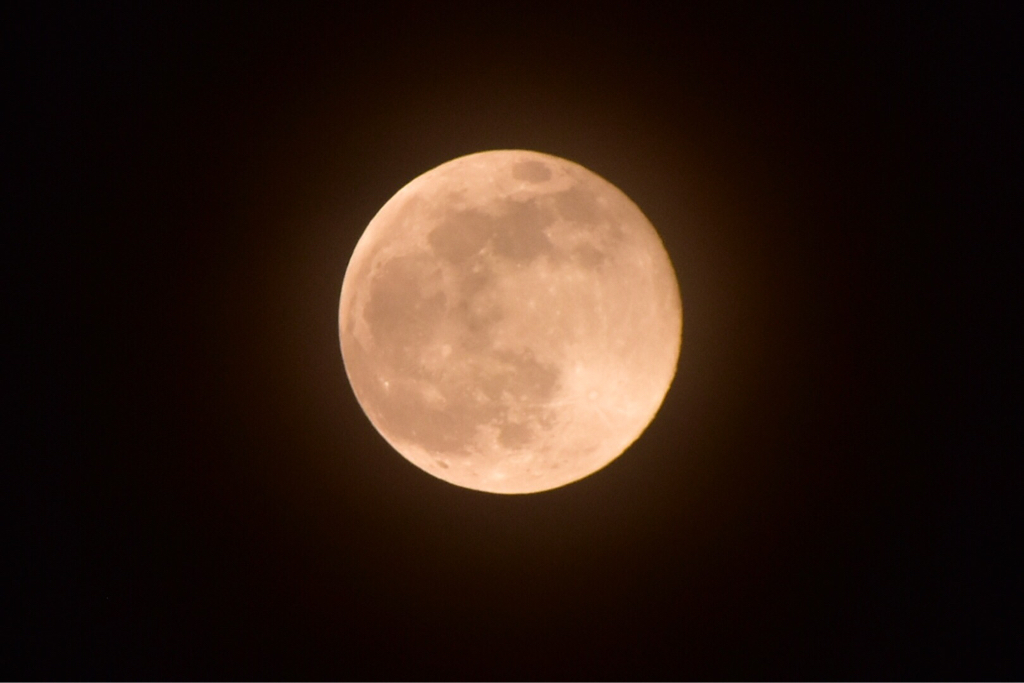 a0343740_23094740.jpg