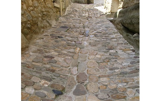 d0167041_595625.jpg