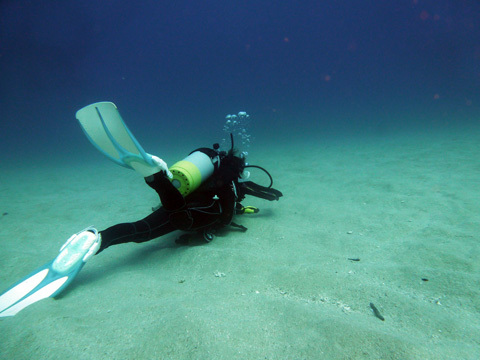 f0014842_16475003.jpg