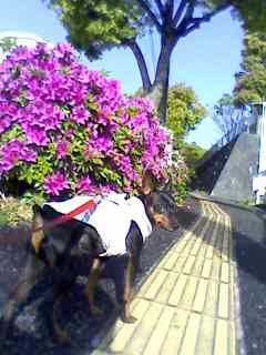 e0150843_843431.jpg