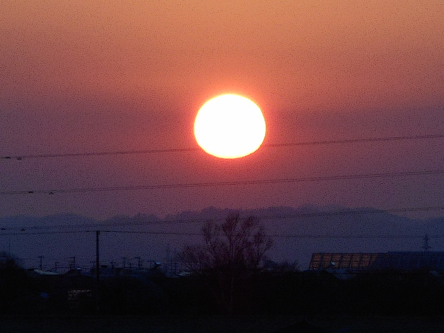 a0156548_23121146.jpg