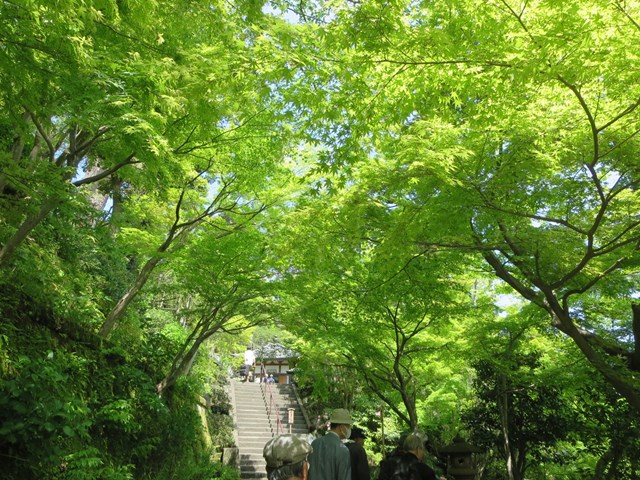 b0009849_15573119.jpg