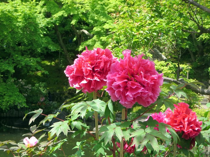 b0009849_16563430.jpg