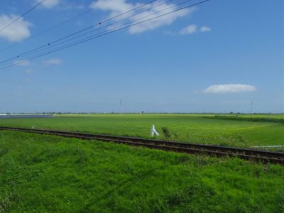 b0220251_6584554.jpg