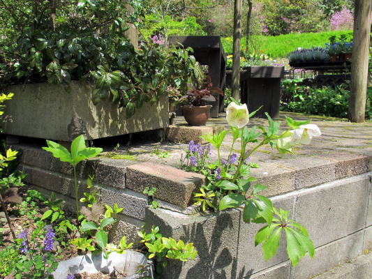 c0147952_23172280.jpg