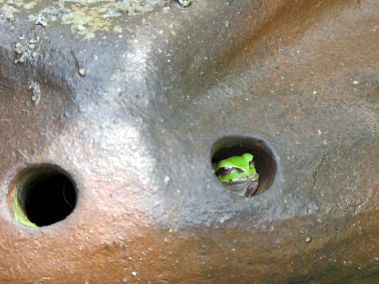 c0147952_23193249.jpg