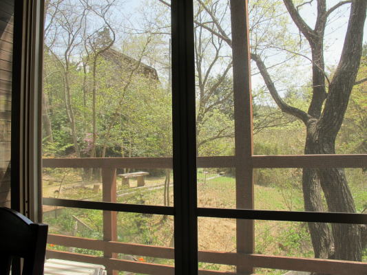 c0147952_2319462.jpg