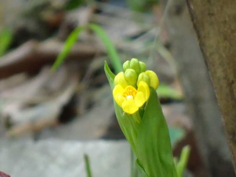 c0108460_23381655.jpg