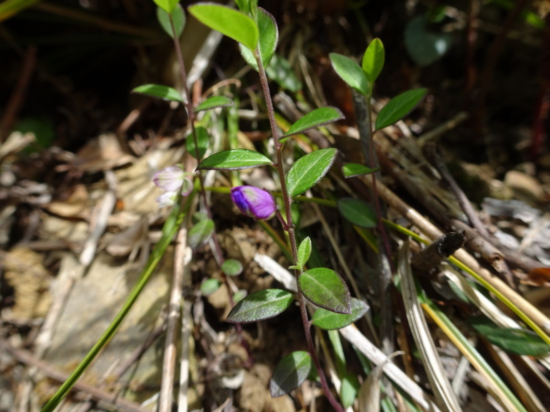c0108460_23382249.jpg