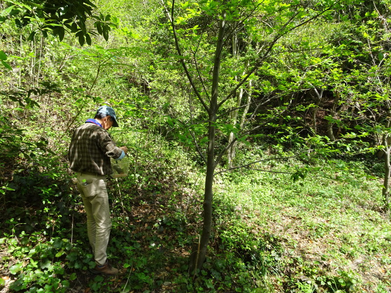 c0108460_23433014.jpg