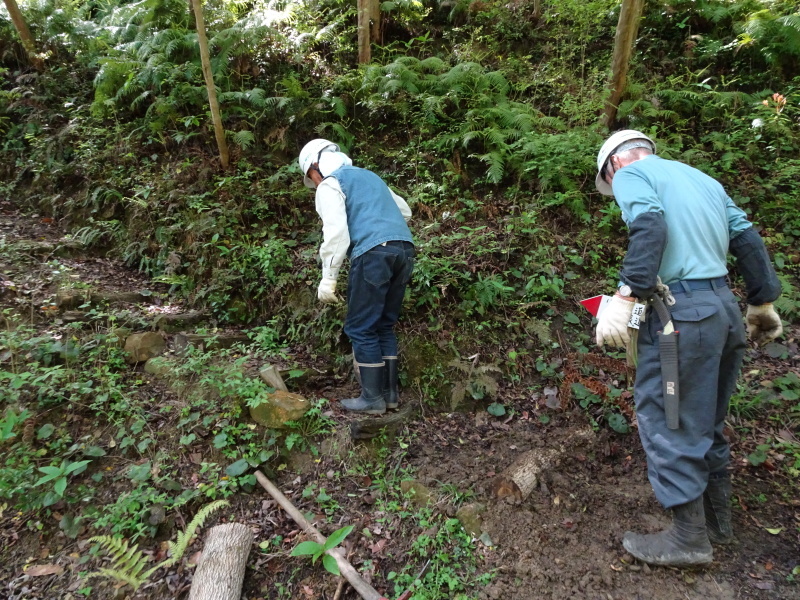 c0108460_23434139.jpg