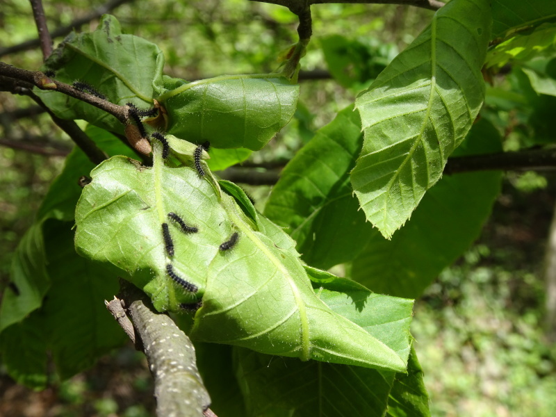 c0108460_23434424.jpg