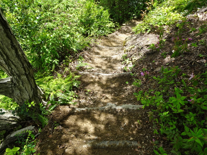 c0108460_23570365.jpg