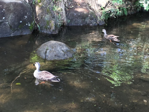b0102864_10195926.jpeg