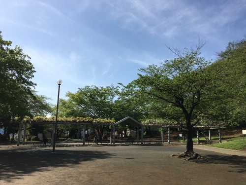 b0102864_10205190.jpeg