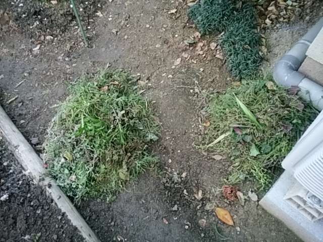 f0153475_1941666.jpg