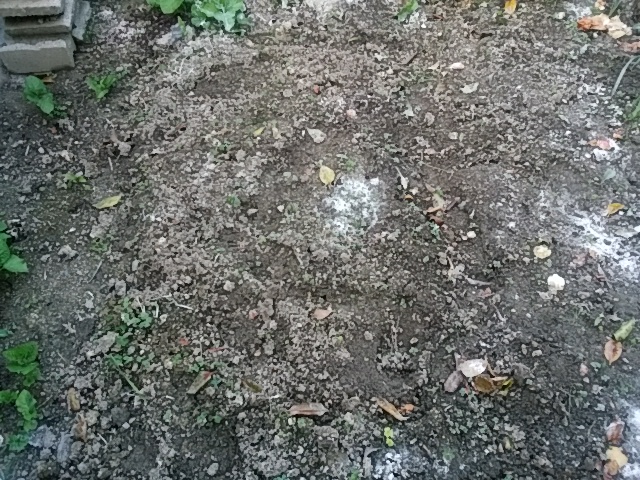 f0153475_1949228.jpg