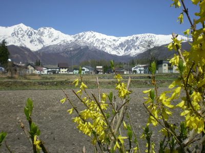 e0014678_20505316.jpg