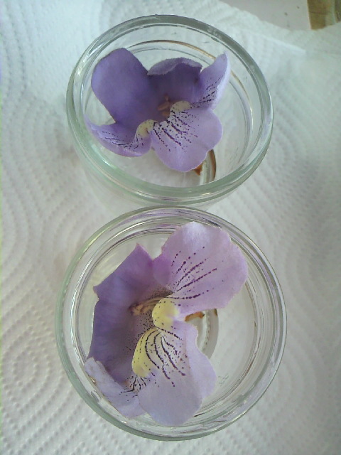 c0198685_15285250.jpg
