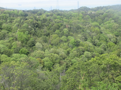 f0053885_20343069.jpg