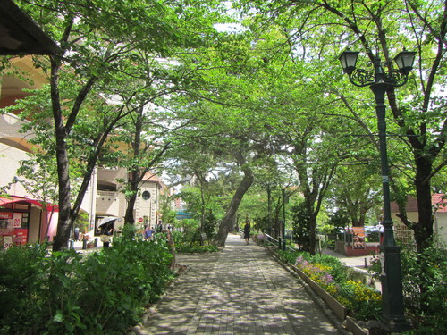a0251786_21234915.jpg