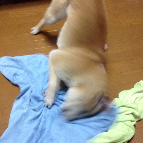 c0123890_21325236.jpg