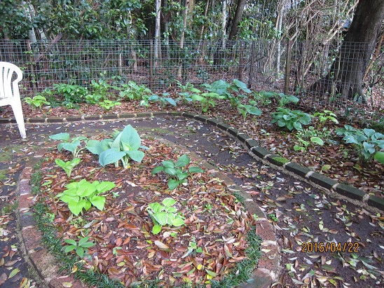 f0106692_7534086.jpg