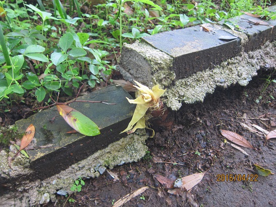 f0106692_7585014.jpg