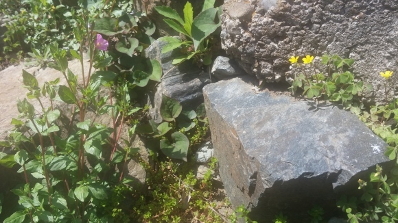 d0144897_14522620.jpg
