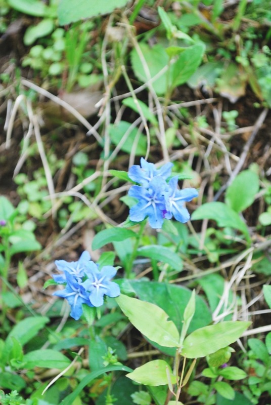 e0025300_20343689.jpg