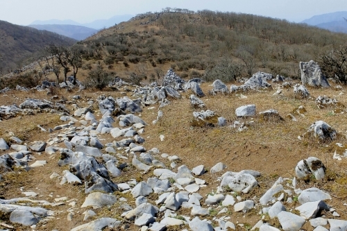 e0304001_17200500.jpg
