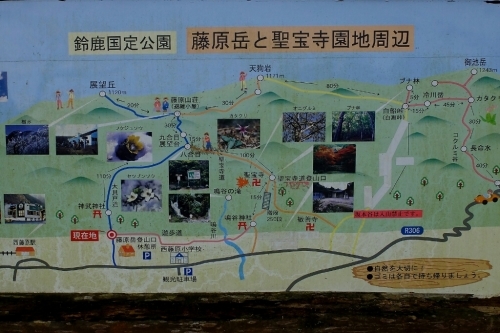 e0304001_17201060.jpg