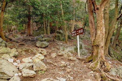 e0304001_17201372.jpg