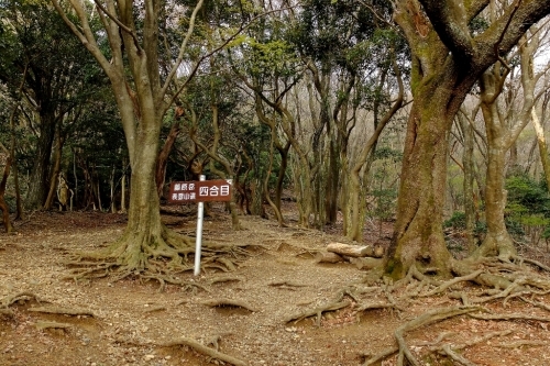 e0304001_17201820.jpg
