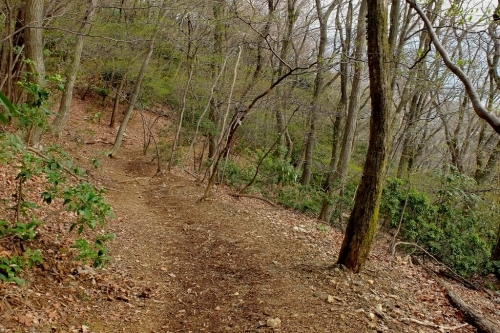 e0304001_17202181.jpg