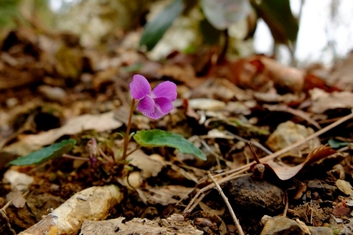 e0304001_17202317.jpg