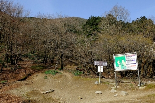 e0304001_17265917.jpg